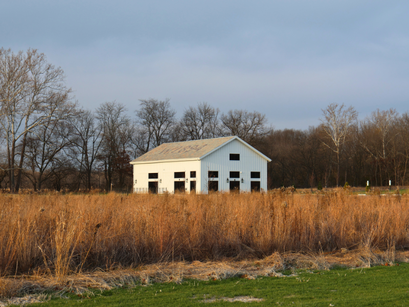 Scenic Prairie Image 1 A white barn-style building in an open field surrounded by tall golden grass, with leafless trees in the background under a clear sky